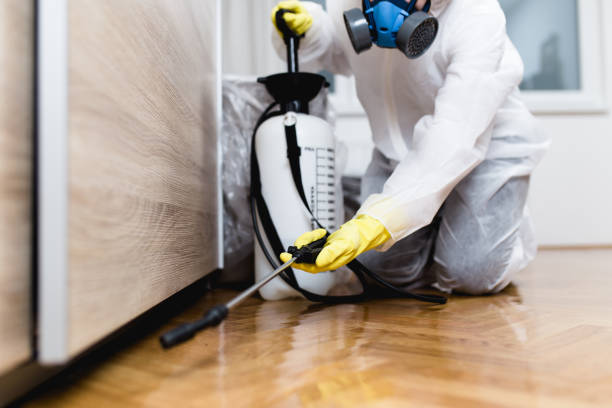 Best Pest Prevention Services  in Hamilton, TX