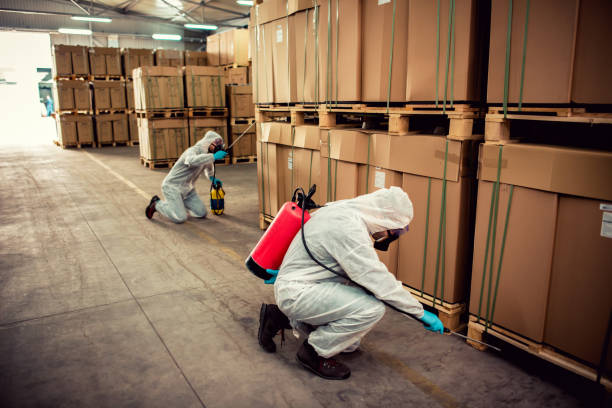 Best Emergency Pest Control  in Hamilton, TX