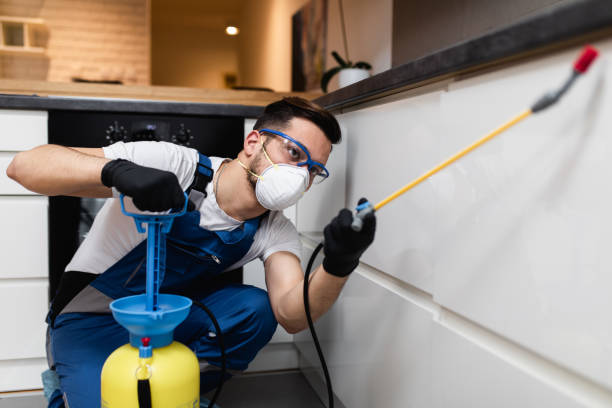 Best Termite Control Services  in Hamilton, TX