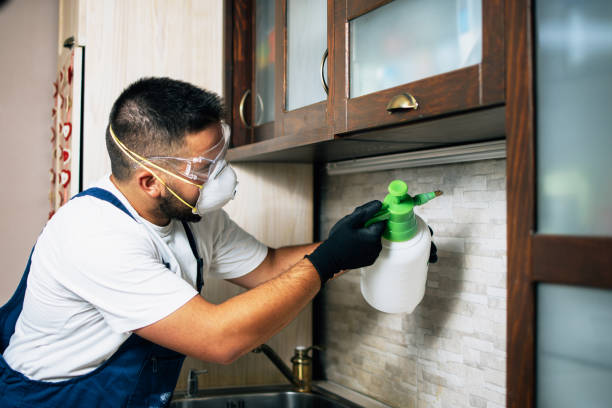 Best Flea Control Services  in Hamilton, TX