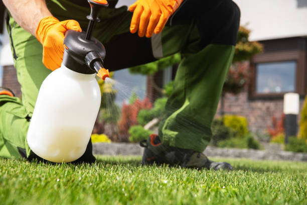 Best Wildlife Control Services  in Hamilton, TX