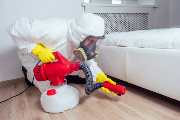 Pest Prevention Services in Hamilton, TX