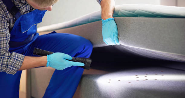 Best Residential Pest Control  in Hamilton, TX