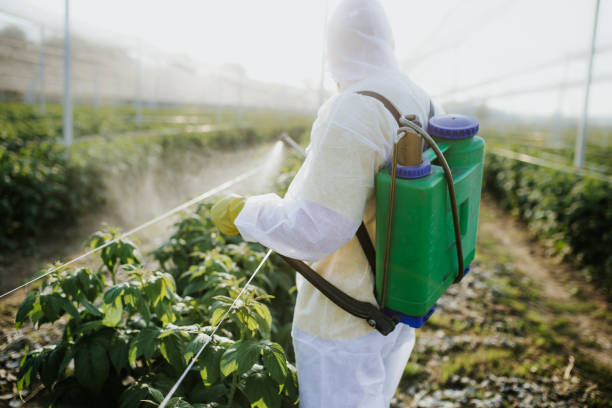 Best Ant Control Services  in Hamilton, TX